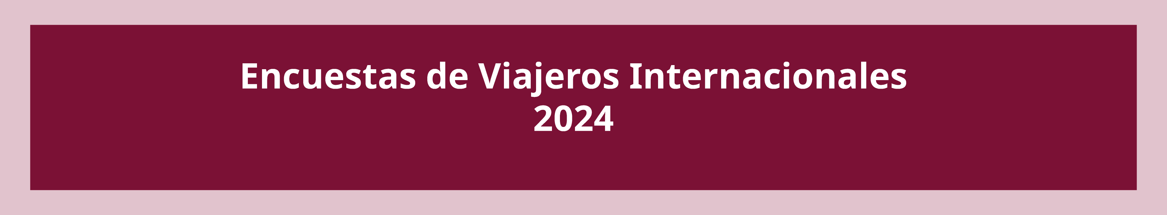 Encuestas de Viajeros Internacionales 2024